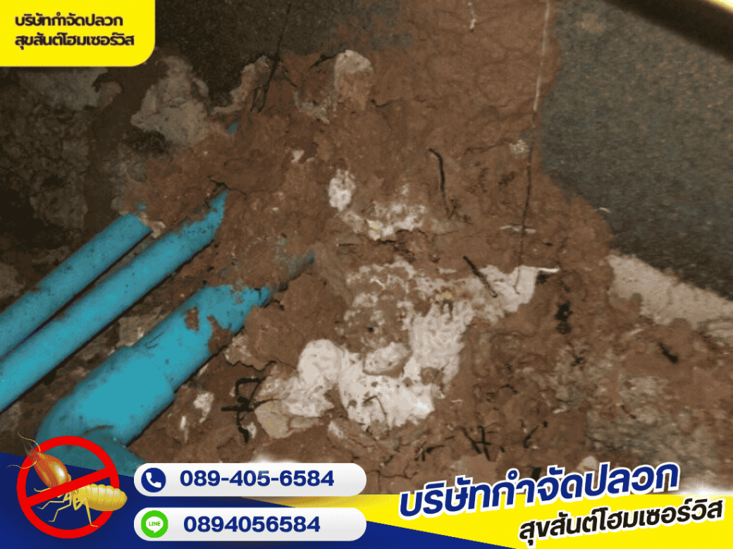 บริษัทกำจัดปลวกอุดร