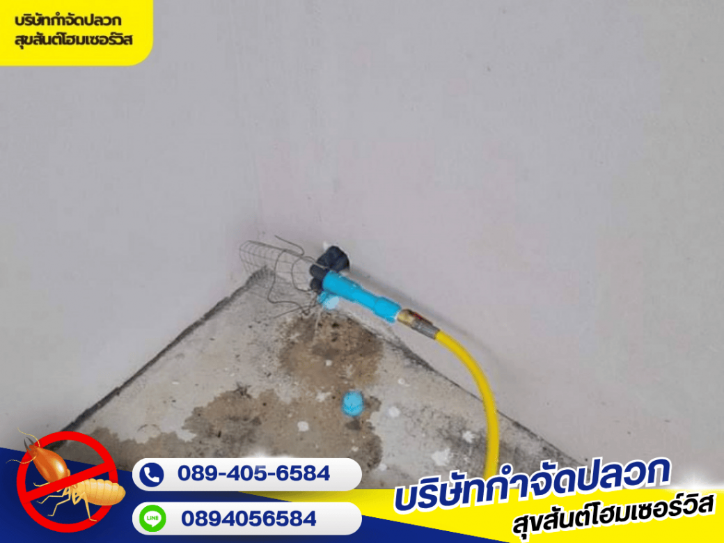 รับกำจัดปลวก เห็นผลจริง