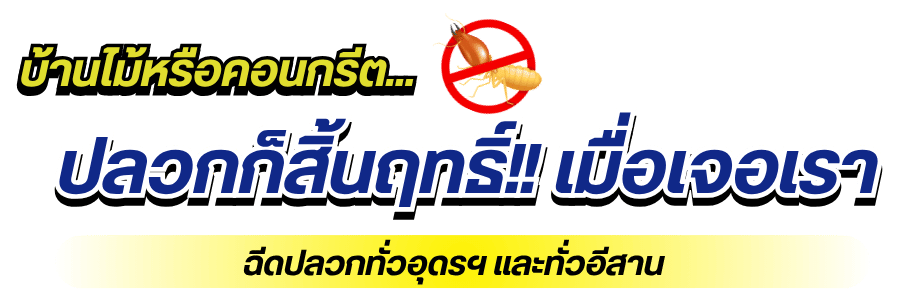 รับฉีดปลวกทั่วอุดรฯ และทั่วอีสาน