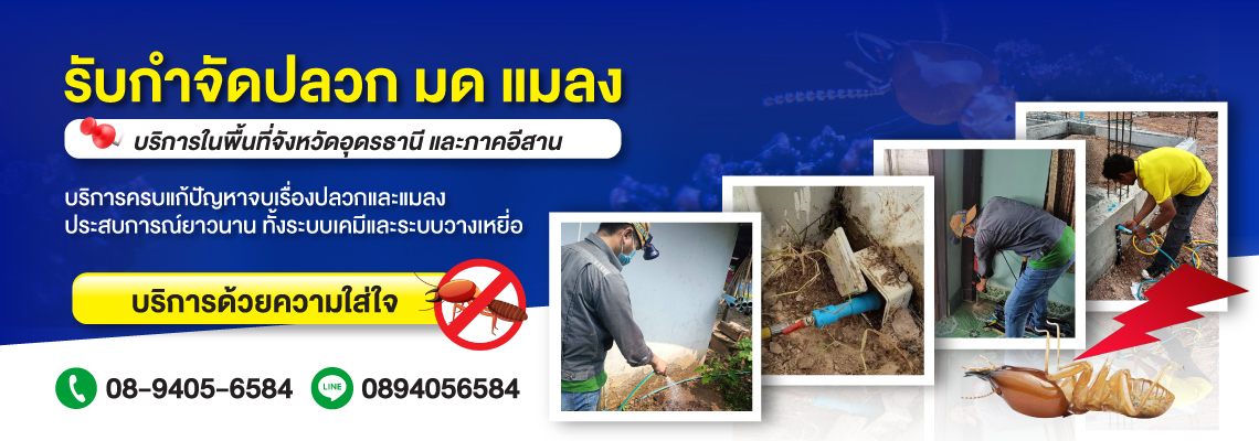 รับกำจัดปลวด-ฉีดปลวก-อุดรธานี