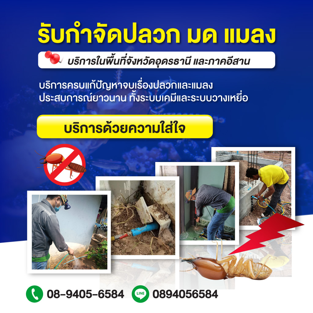 80032443-mobile-01-รับกำจัดปลวด-ฉีดปลวก-อุดรธานี