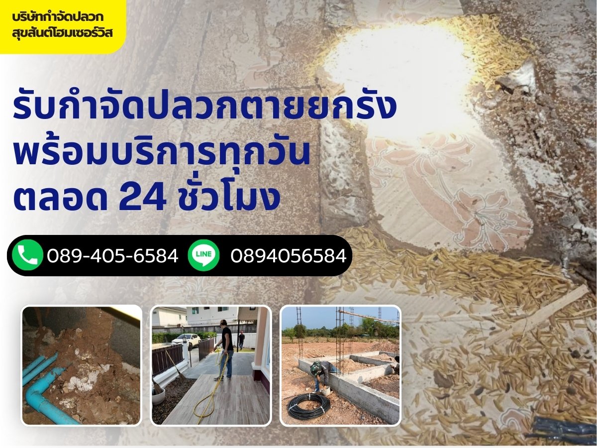 บริษัทกำจัดปลวก อุดรธานี