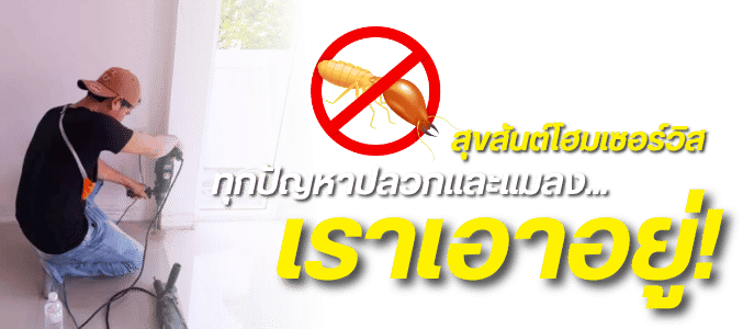 กำจัดปลวกราคาถูก อุดร